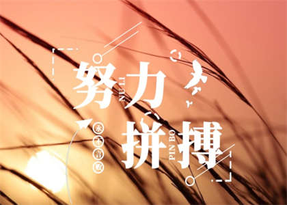 北京师范大学考研资讯