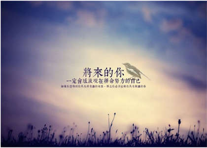 北京师范大学考研资讯